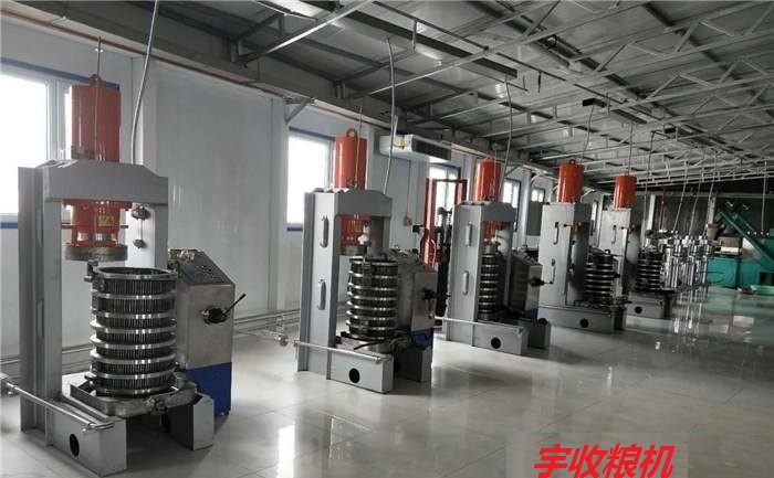 液壓榨油機生產(chǎn)線.jpg
